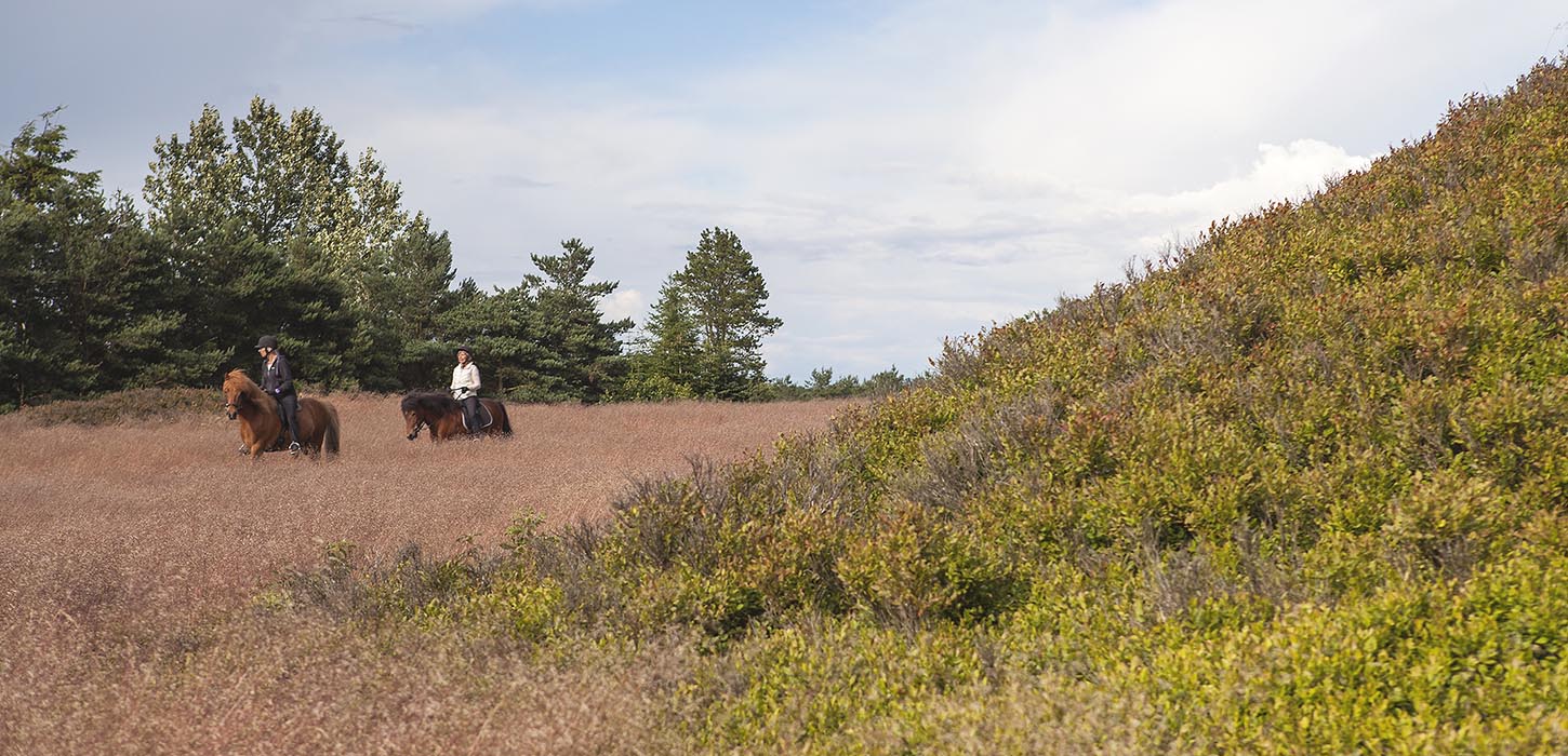 Ryttere ved Firehøje