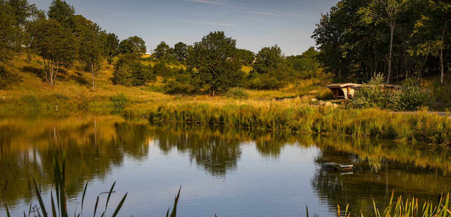 Shelter ved Løget Dam