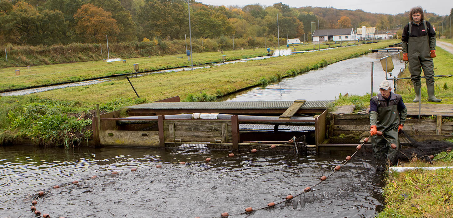 Virksomheder i Vejle Ådal