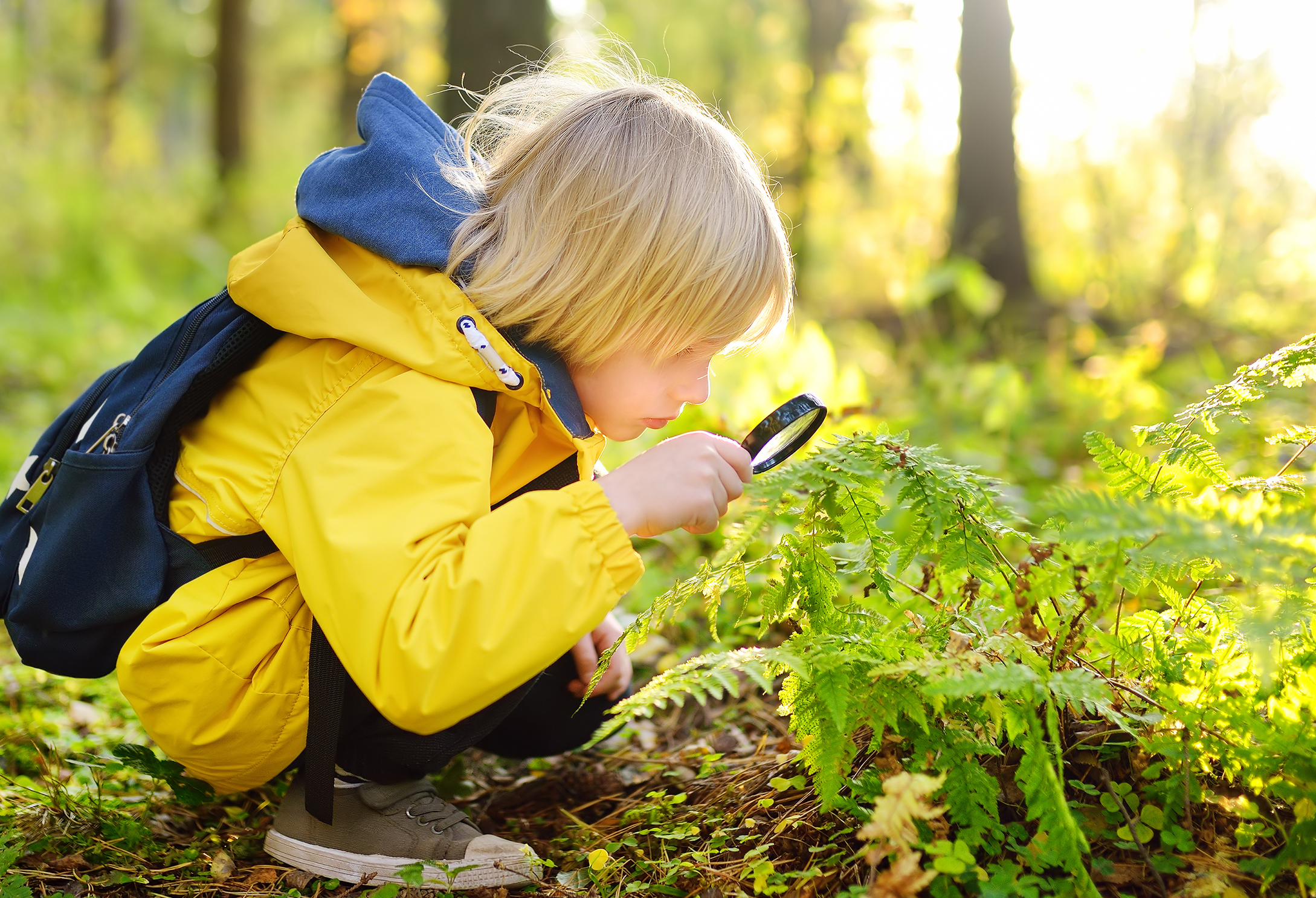 Biodiversitet i børnehøjde